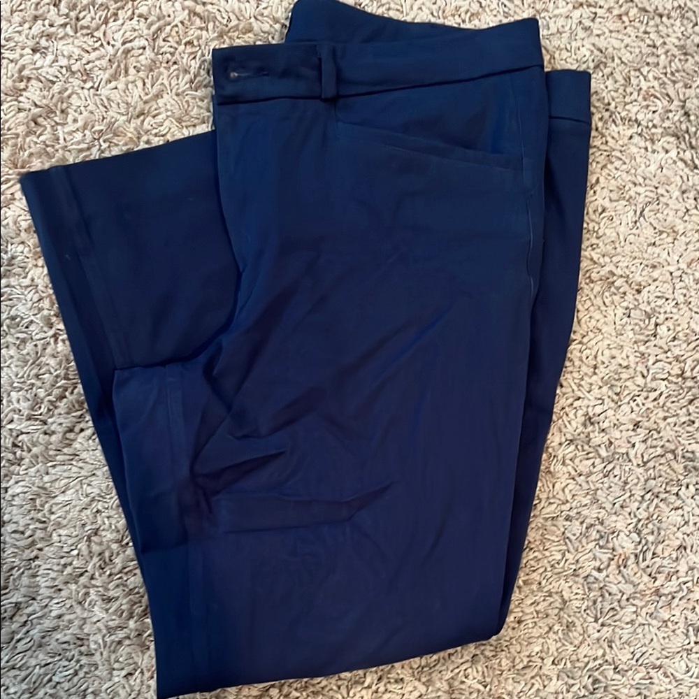 Navy Blue Pants